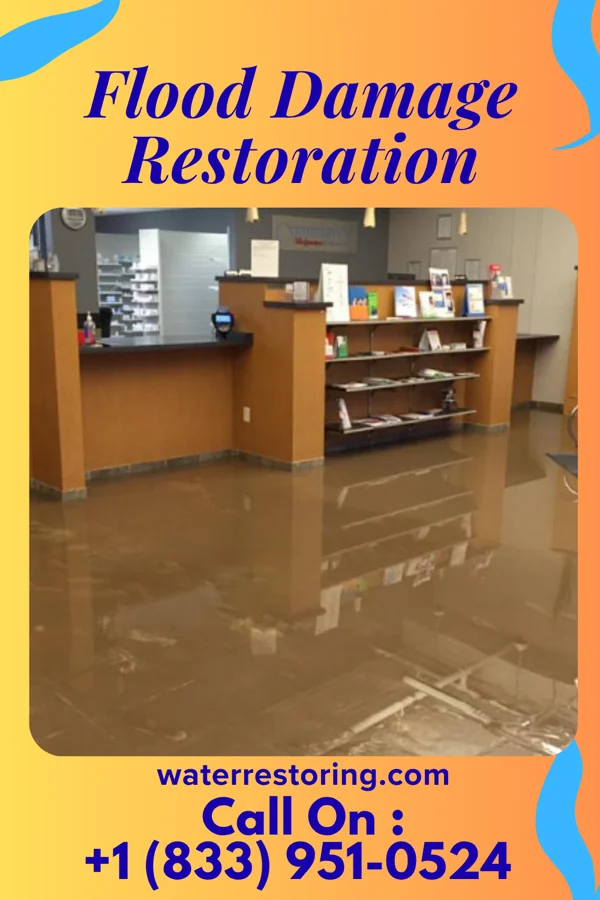 Flood Damage Restoration in Mineral Springs, NC