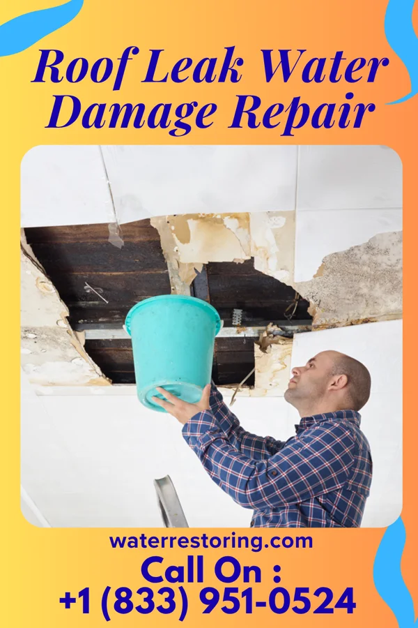 Roof Leak Water Damage Repair in Mineral Springs, NC